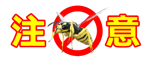 蜂に注意