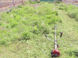 空き地の草刈り